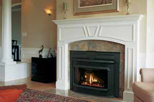 fireplace insert