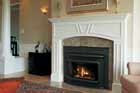 fireplace insert