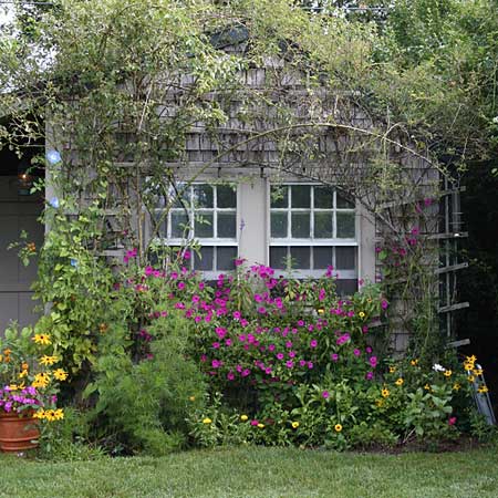 cottage garden tableau