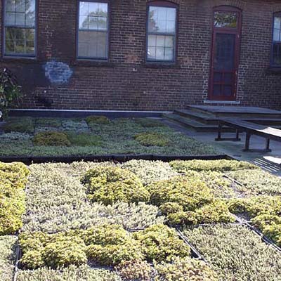an example of a green roof