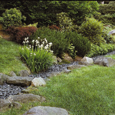 landscaping