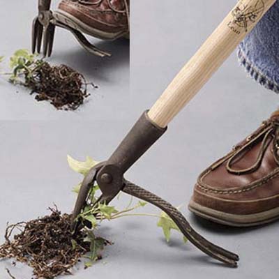 Grampa's Weeder