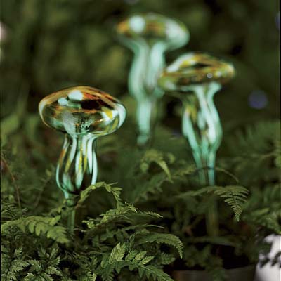 http://img2.timeinc.net/toh/i/g/0308_wackygarden/glowing-mushroom.jpg