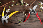 Hand Pruners
