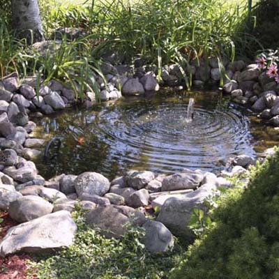 Boulder Pool Pond-02