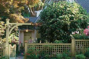 Small Yard Big Impact