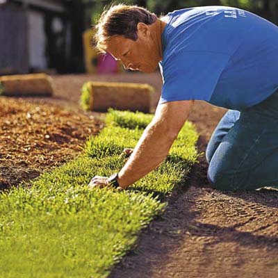 laying down sod on a new lawn