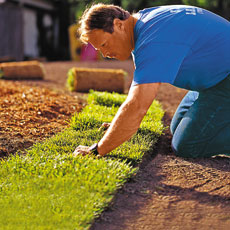 laying sod on a new lawn