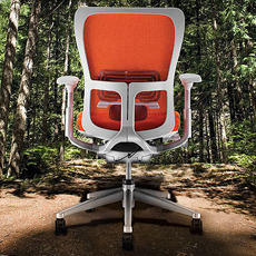 Green Home Office