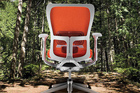 Green Home Office