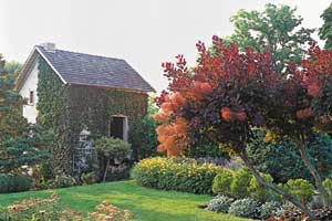 eye catching spring gardens