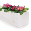window box