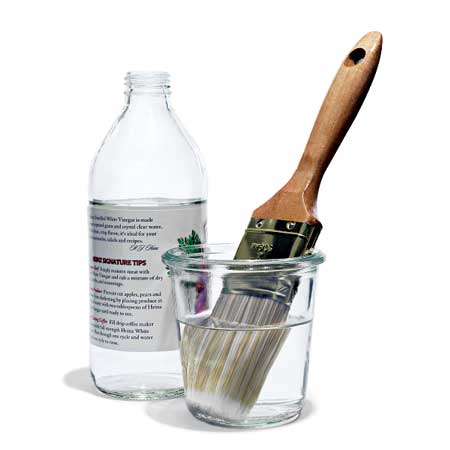 Vinegar Cleans Brushes