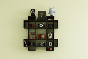 collections, displays, Ice Bat, cameras, photos, shelving