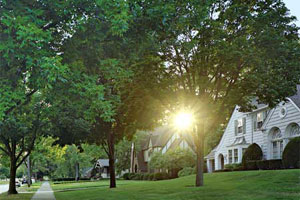 Tudor Revival houses in neighborhood at sunset