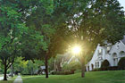 Tudor Revival houses in neighborhood at sunset