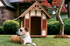 tudor doghouse