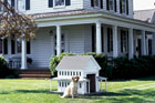 greek revival style doghouse