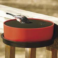 Audubon/Woodlink Plastic Ranch Feeder with Suet