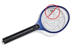 mosquito