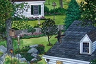 yard designed to attract animals
