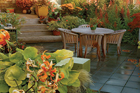 garden with paved patio, wood deck, container gardens, and raised planting beds