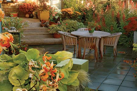 garden with paved patio, wood deck, container gardens, and raised planting beds