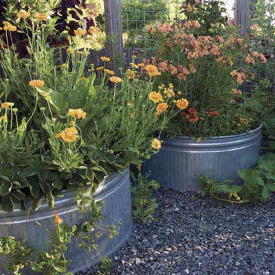 Raised  Garden Design on Galvanized Feed Troughs Serve As Permanent Planters In A Raised Garden
