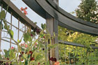 elements of a wire trellis