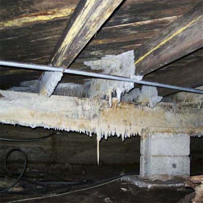 mold growing in the basement of a church