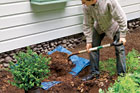 man planting dwarf shrubs to protect his foundation