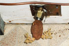 a potato used as a gas line cap