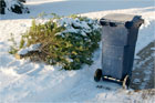 christmas tree lying in the snow next to a garbage can