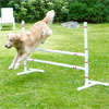Jump Bars