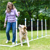 Weave Poles