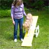 Teeter-Totter