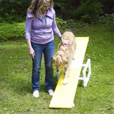 woman standing next to dog on teeter-totter