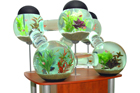 aquarium