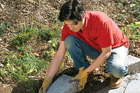 Man placing concrete block in soil