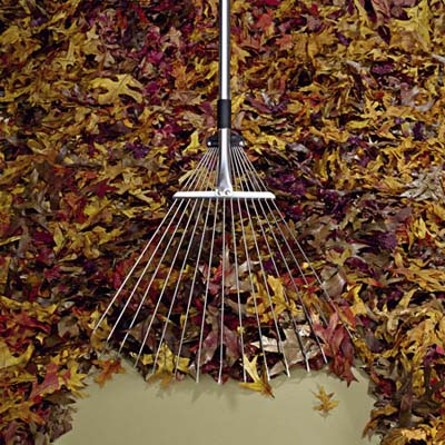 a RAKE