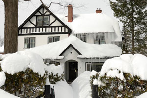 house and trees burdened by extreme snow fall