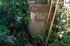 Harvest Water With Rain Barrels