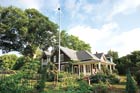 twentieth century cottage with modern green remodel
