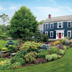diversity of flowers planted together in a dramatic entry garden