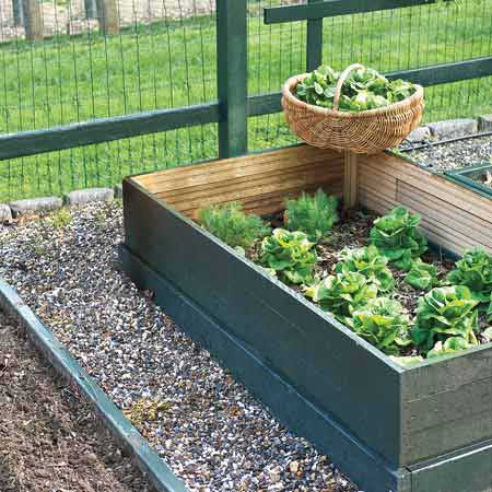 Vegetable Garden on Vegetable Garden   Photos   Garden Planning   Landscaping   This