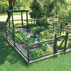 large plotted vegetable garden