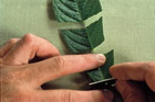 small plantling