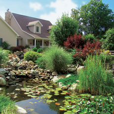 full view of beautiful monster pond built behind readers home