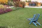 lush lawn with blue chair and patio in the distance