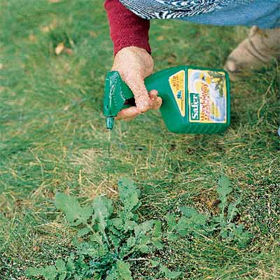   Fertilize Lawn on Your Toughest Lawn Questions Answered   Photos   This Old House